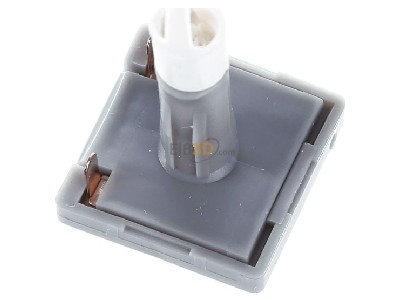 Ansicht oben links Busch Jaeger 8383-10 LED Beleuchtungseinheit m.Sockel,2mA,LED ws 