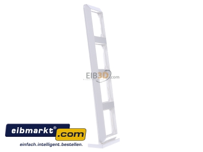 View on the left Merten 389419 Frame 4-gang white
