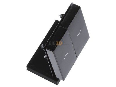 Ansicht oben links Jung A 595 P SW Wippe Symbole sw f�r Jal.Wippschalter 