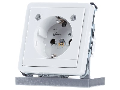 Frontansicht Elso 225304 Steckdose pws mit LED-Licht 