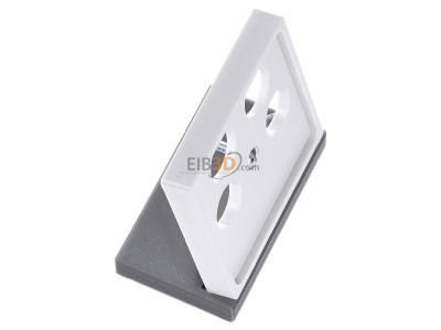 View top left Elso 366054 Plate coaxial antenna socket outlet 
