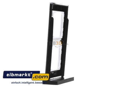 View on the right Gira 0212733 Frame 2-gang black 
