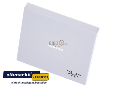 Ansicht oben vorne Jung LS 990 KO5L WW Wippe Sym.LICHT/Lichtl.aw f�r beleuchtb.Taster 