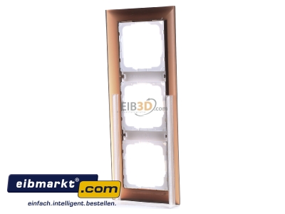 Ansicht hinten Gira 0213331 Abdeckrahmen 3f.opak dbr fr rws Event 