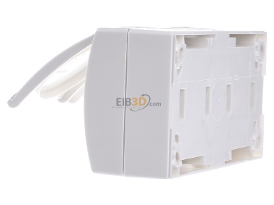 View on the right Busch Jaeger 20/2 EBW-54 Socket outlet (receptacle) 
