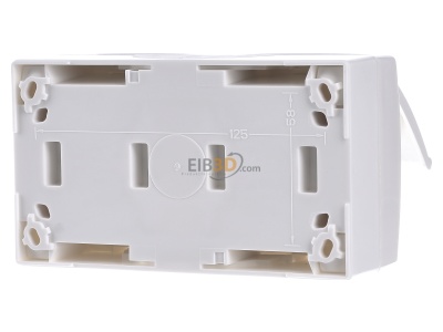 Back view Busch Jaeger 20/2 EBW-54 Socket outlet (receptacle) 
