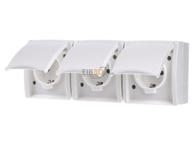 Front view Busch Jaeger 2300/3 EBW-54 Socket outlet (receptacle) 
