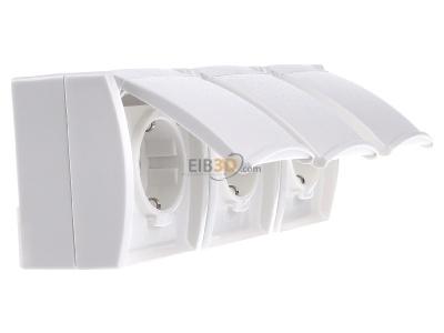 View on the left Busch Jaeger 2300/3 EBW-54 Socket outlet (receptacle) 
