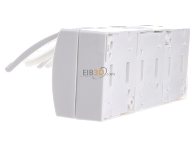 View on the right Busch Jaeger 2300/3 EBW-54 Socket outlet (receptacle) 

