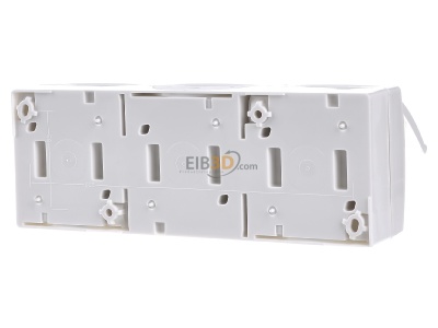 Back view Busch Jaeger 2300/3 EBW-54 Socket outlet (receptacle) 
