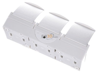Top rear view Busch Jaeger 2300/3 EBW-54 Socket outlet (receptacle) 
