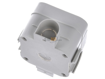 Ansicht oben hinten Berker 183001 CEE Up-Dose Verbindungssysteme 