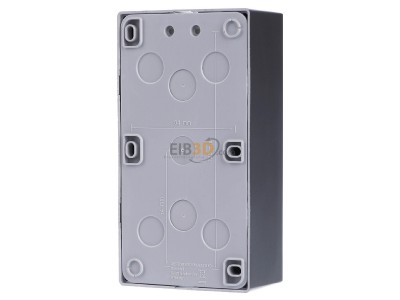 Ansicht hinten Jung ES 2582 A-L AP-Kappe 2-fach eds lack angeformter Rahmen 