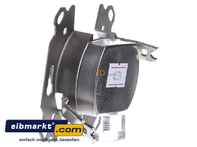View on the right Busch-Jaeger 0231-101 Antenna loop-through socket for antenna
