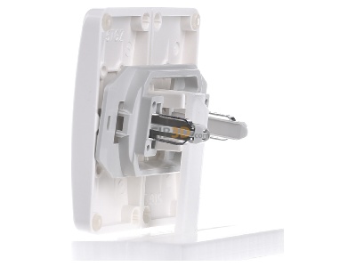 View on the right Siemens 5TG7813 Cover plate for switch/push button white 
