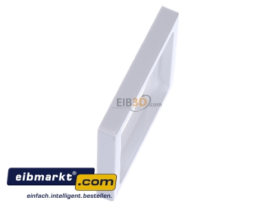 Ansicht oben links Busch-Jaeger 1746/10-84 Zentralscheibe dav 50x50,f.TAE-Einsatz 