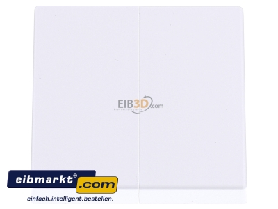 Front view Eaton (Installation) CWIZ-02/01 Cover plate white
