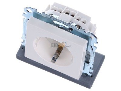 View up front Merten MEG2300-0419 Socket outlet (receptacle) 
