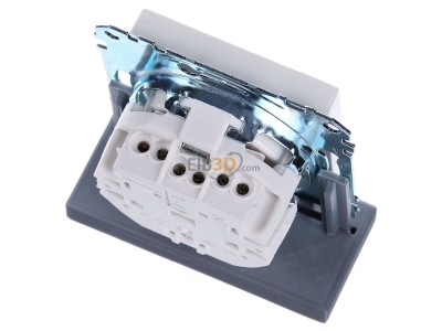 Top rear view Merten MEG2300-0419 Socket outlet (receptacle) 
