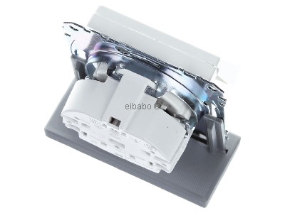 Ansicht oben hinten Merten MEG2310-0419 SCHUKO-Steckdose pws Klappdeckel 