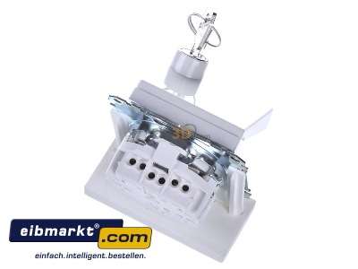 Ansicht oben hinten Merten MEG2315-0325 SCHUKO-Steckdose aws/gl Klappdeckel 