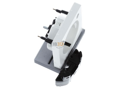 Ansicht oben links Merten MEG2334-0419 Zentralplatte pws f.Steckdose LED 