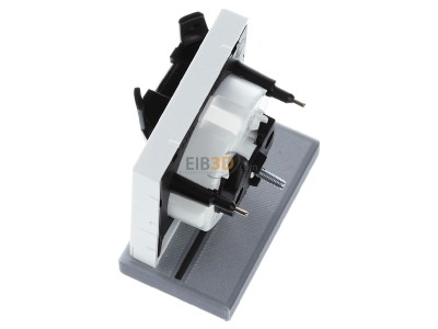 Ansicht oben rechts Merten MEG2334-0419 Zentralplatte pws f.Steckdose LED 