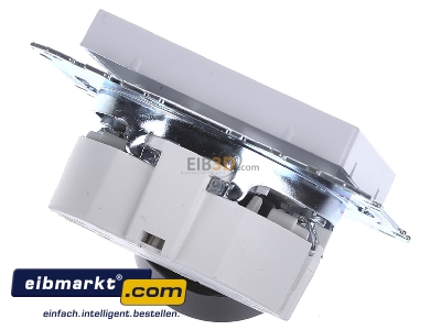 Ansicht oben hinten Merten MEG2500-0325 Steckdose aws/gl Schutzk.stift BRS 