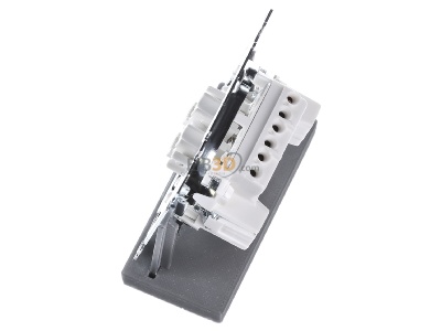 Ansicht oben rechts Merten MEG3059-0000 Doppeltaster-Einsatz 2W 1-pol.10A 250V AC 