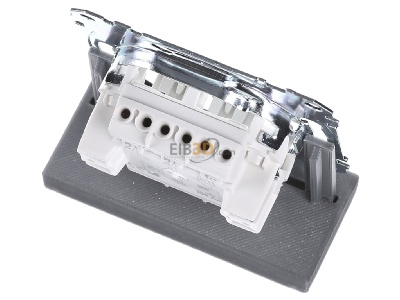 Ansicht oben hinten Merten MEG3059-0000 Doppeltaster-Einsatz 2W 1-pol.10A 250V AC 