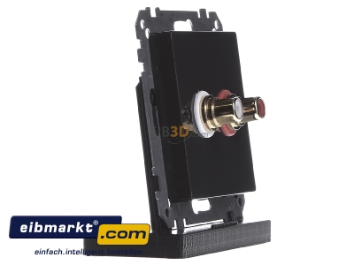 Ansicht links Merten MEG4350-0414 Steckdose anth fr Audio Anschluss 