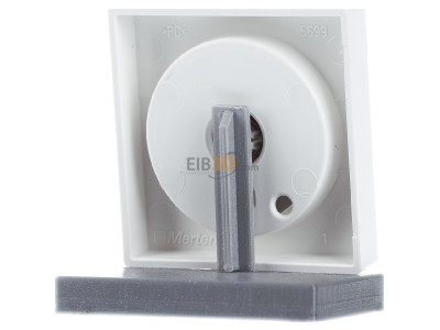 Ansicht hinten Merten MEG5250-0419 Zentralplatte pws mit Drehkknopf 