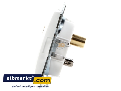Ansicht rechts Steckdose USB/3,5mm Audio polarwei glnzend 3315398989 Berker 3315398989