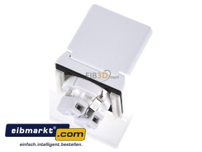 Top rear view Peha D 6711.02 WI WE S Socket outlet protective contact white 
