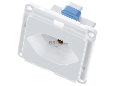 Ansicht oben vorne Peha D 6771.02 CH-S SI Steckdose Schweiz SEV EB,erh.Ber�hrs., rws 