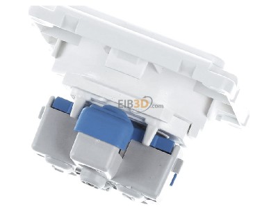 Ansicht oben hinten Peha D 6771.02 CH-S SI Steckdose Schweiz SEV EB,erh.Ber�hrs., rws 
