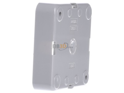 View on the right Peha D 791.13 F Surface mounted housing 1-gang grey 
