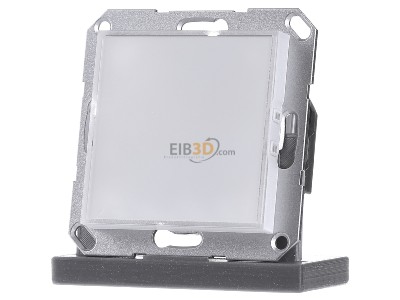 Frontansicht Gira 236100 LED-Orientier.Licht Wei� System 55 