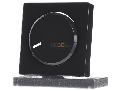 Frontansicht Busch Jaeger 6540-81-102 Zentralscheibe anth fr Drehdimmer 