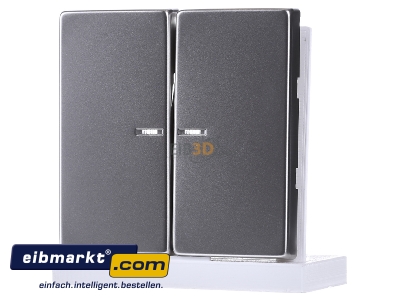 Frontansicht Jung ES 2995 KO5 Wippe Lichtleiter eds f�r Taster 