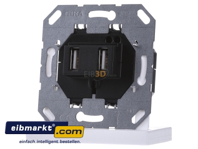 Frontansicht Gira 235900 USB Spannungsvers. 2fach Einsatz 