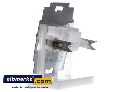 View on the right Busch-Jaeger 0248/04-101 Basic element loudspeaker connection - 
