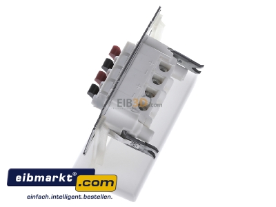 View top right Busch-Jaeger 0248/04-101 Basic element loudspeaker connection - 
