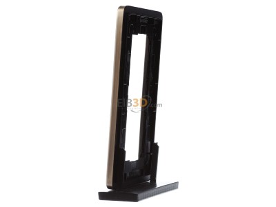 View on the right Gira 1002621 Frame 2-gang bronze 

