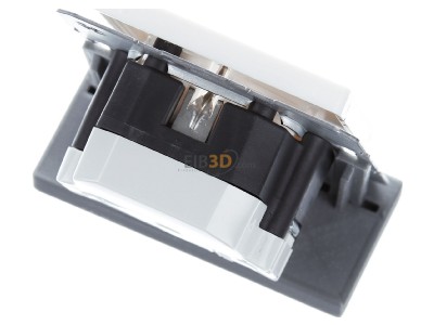 Ansicht oben hinten Berker 41106089 SCHUKO-Steckdose pws samt Kontroll-LED 