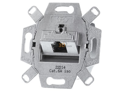 Front view Busch Jaeger 0218/11-101 RJ45 8(8) Data outlet 6A (IEC) grey 
