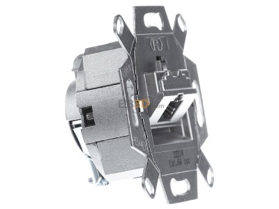 View on the left Busch Jaeger 0218/11-101 RJ45 8(8) Data outlet 6A (IEC) grey 
