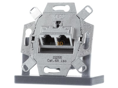 Front view Busch Jaeger 0218/12-101 UAE can insert Cat. 6, 2-fold, 
