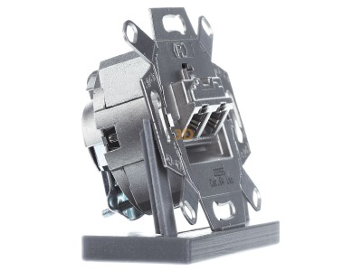 View on the left Busch Jaeger 0218/12-101 UAE can insert Cat. 6, 2-fold, 
