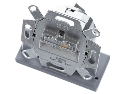 View up front Busch Jaeger 0218/12-101 UAE can insert Cat. 6, 2-fold, 

